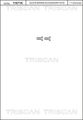 Triscan 8105 116012 - Комплект болтів, гальмівний диск autocars.com.ua