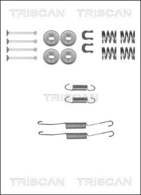 Triscan 8105 132587 - Комплектуючі, барабанний гальмівний механізм autocars.com.ua