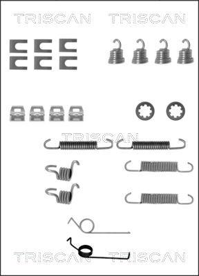 Triscan 8105 162046 - Комплектуючі, барабанний гальмівний механізм autocars.com.ua