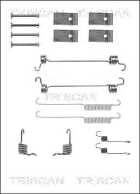 Triscan 8105 162545 - Комплектующие, барабанный тормозной механизм avtokuzovplus.com.ua