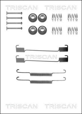 Triscan 8105 172465 - Комплектуючі, барабанний гальмівний механізм autocars.com.ua