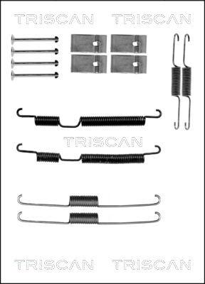 Triscan 8105 182008 - Комплектующие, барабанный тормозной механизм autodnr.net