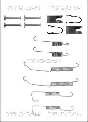 Triscan 8105 232559 - Комплектующие, барабанный тормозной механизм avtokuzovplus.com.ua