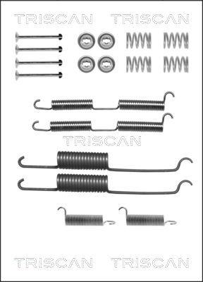 Triscan 8105 252569 - Комплектуючі, барабанний гальмівний механізм autocars.com.ua