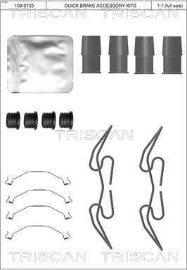 Triscan 8105 291632 - Комплектующие для колодок дискового тормоза autodnr.net