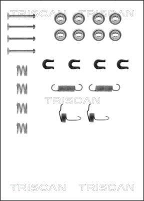 Triscan 8105 422523 - Комплектуючі, барабанний гальмівний механізм autocars.com.ua