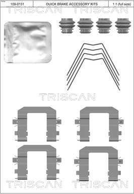 Triscan 8105 431663 - Комплектующие для колодок дискового тормоза autodnr.net