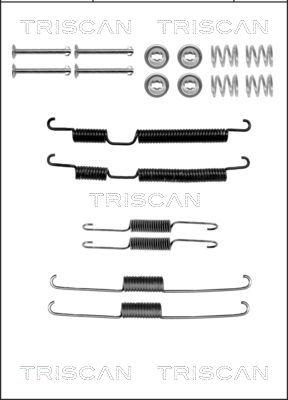 Triscan 8105 432002 - Комплектующие, барабанный тормозной механизм avtokuzovplus.com.ua