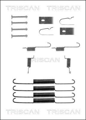 Triscan 8105 502533 - Комплектующие, барабанный тормозной механизм avtokuzovplus.com.ua