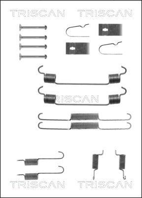 Triscan 8105 502543 - Комплектуючі, барабанний гальмівний механізм autocars.com.ua