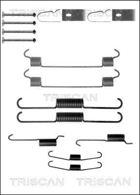 Triscan 8105 502559 - Комплектующие, барабанный тормозной механизм avtokuzovplus.com.ua