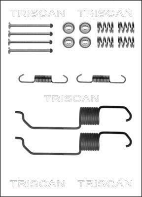 Triscan 8105 502560 - Комплектуючі, барабанний гальмівний механізм autocars.com.ua