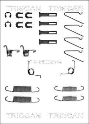 Triscan 8105 672568 - Комплектуючі, барабанний гальмівний механізм autocars.com.ua