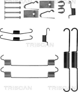 Triscan 8105 691624 - Комплектуючі, барабанний гальмівний механізм autocars.com.ua