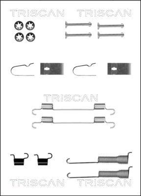 Triscan 8105 692001 - Комплектующие, барабанный тормозной механизм avtokuzovplus.com.ua