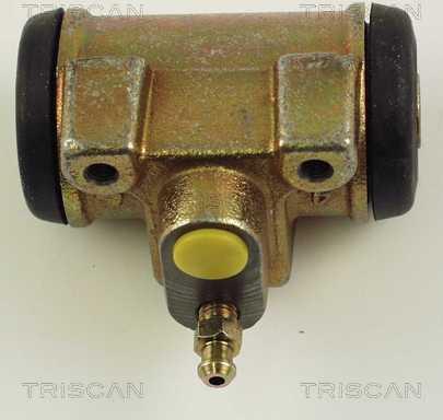 Triscan 8130 10043 - Колесный тормозной цилиндр avtokuzovplus.com.ua