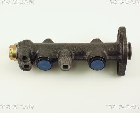Triscan 8130 15106 - Главный тормозной цилиндр autodnr.net