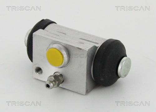 Triscan 8130 16067 - Колесный тормозной цилиндр avtokuzovplus.com.ua
