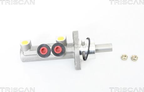 Triscan 8130 25141 - Головний гальмівний циліндр autocars.com.ua