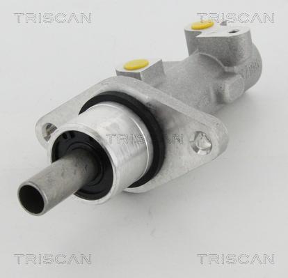 Triscan 8130 29163 - Головний гальмівний циліндр autocars.com.ua