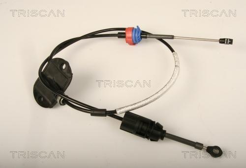 Triscan 8140 16703 - Трос, автоматична коробка передач autocars.com.ua