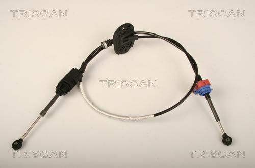 Triscan 8140 16704 - Трос, автоматическая коробка передач avtokuzovplus.com.ua