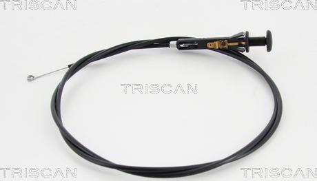 Triscan 8140 25503 - Вал повітряного клапана, карбюратор autocars.com.ua