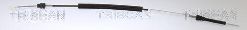 Triscan 8140 29723 - Трос, ступенчатая коробка передач autodnr.net