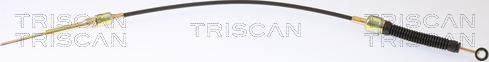 Triscan 8140 29761 - Трос, автоматична коробка передач autocars.com.ua