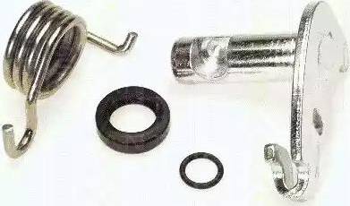 Triscan 8170 209913 - Ремкомплект, вал гальмо гальмівної (гальмівний супорт) autocars.com.ua