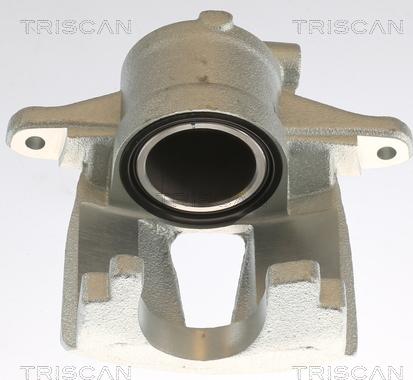 Triscan 8175 10110 - Тормозной суппорт autodnr.net