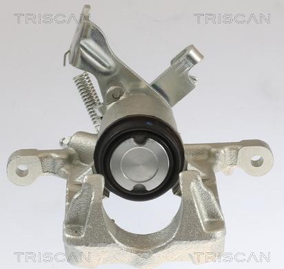 Triscan 8175 10232 - Тормозной суппорт autodnr.net