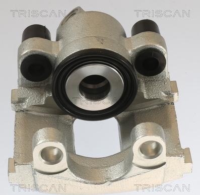 Triscan 8175 11201 - Тормозной суппорт autodnr.net