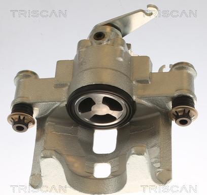 Triscan 8175 15205 - Тормозной суппорт autodnr.net