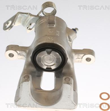 Triscan 8175 24201 - Тормозной суппорт autodnr.net