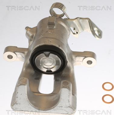 Triscan 8175 24202 - Тормозной суппорт autodnr.net
