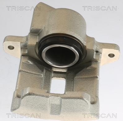 Triscan 8175 25102 - Тормозной суппорт autodnr.net
