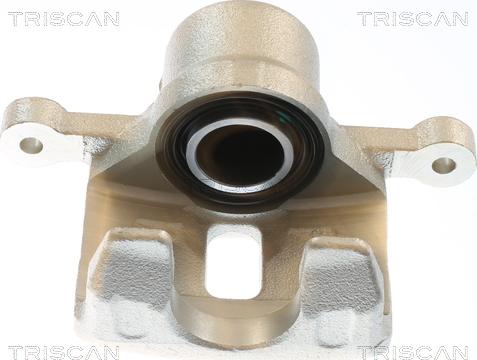 Triscan 8175 43243 - Тормозной суппорт autodnr.net