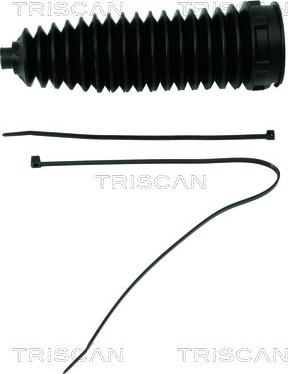 Triscan 8500 10016 - Комплект пилника, рульове управління autocars.com.ua