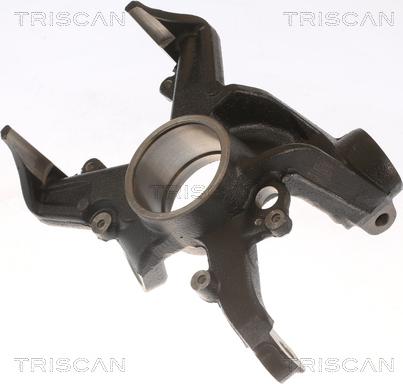 Triscan 8500 29703 - Поворотный кулак, подвеска колеса autodnr.net
