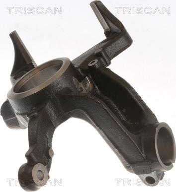 Triscan 8500 29707 - Поворотный кулак, подвеска колеса avtokuzovplus.com.ua