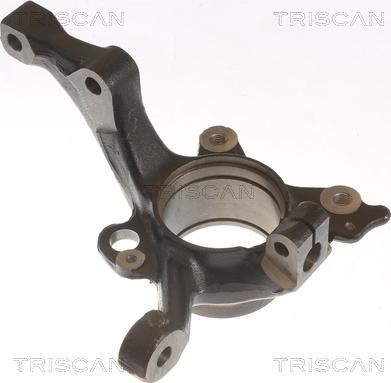 Triscan 8500 29717 - Поворотный кулак, подвеска колеса autodnr.net