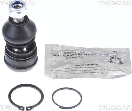 Triscan 8500 42561 - Несучий / направляючий шарнір autocars.com.ua