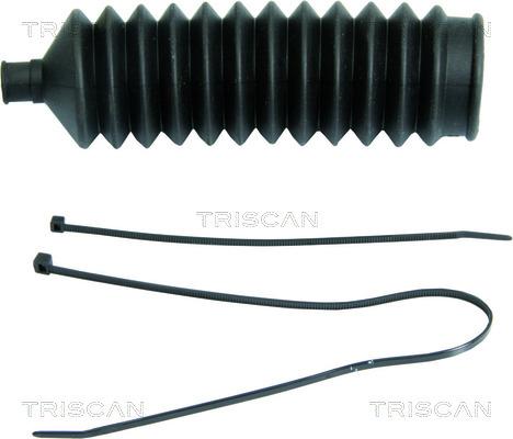 Triscan 8500 50046 - Комплект пилника, рульове управління autocars.com.ua