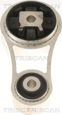 Triscan 8505 10106 - Подушка, підвіска двигуна autocars.com.ua