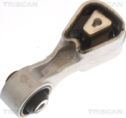 Triscan 8505 10107 - Подушка, опора, подвеска двигателя autodnr.net