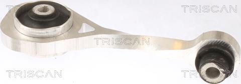 Triscan 8505 10111 - Подушка, підвіска двигуна autocars.com.ua