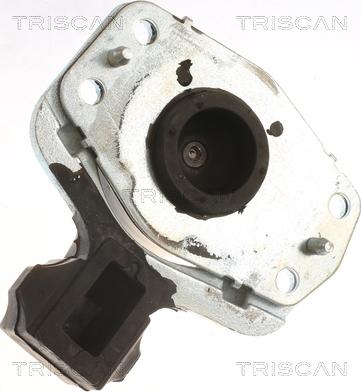 Triscan 8505 10118 - Подушка, підвіска двигуна autocars.com.ua