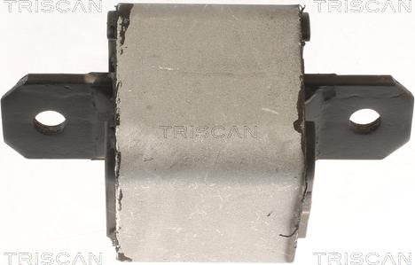 Triscan 8505 10120 - Подушка, опора, подвеска двигателя autodnr.net