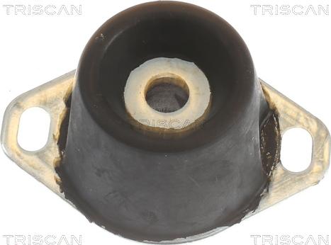 Triscan 8505 10122 - Подушка, опора, подвеска двигателя autodnr.net